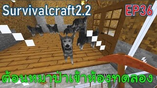 ต้อนหมาป่าเข้าห้องทดลอง Wolves Room | survivalcraft2.2 EP36 [พี่อู๊ด JUB TV]