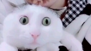 ตอนนั้นก็กลัวมากเลยนะ....ฮ่าฮ่าฮ่าฮ่า