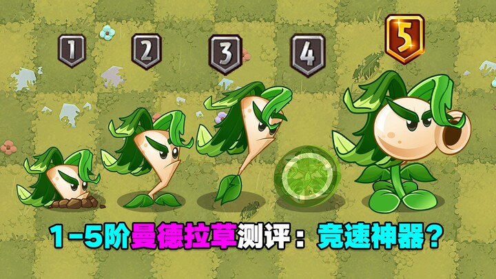 Đánh giá Mandrake cấp độ 1-5: Đánh bay ngay lập tức zombie cỡ trung và nhỏ cấp 10? Cây ưu tú mới xuấ