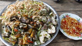 Bội thu cá nữa mọi người ơi. CÁ LÓC, LƯƠN, TÉP HẤP BẦU - Bin Đen Miền Tây # 382