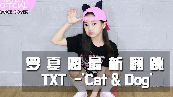 【awesomehaeun罗夏恩】TXT-cat&dog (COVER DANCE)