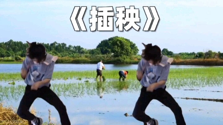 《点击看徐大虾在线插秧一分钟》