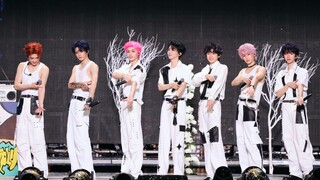 【Times Youth League】Random Dance｜"Crowning Ceremony" Concert-"Champion" Shanghai Station August 24th