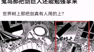 I really don't understand why Oda drew these two big swords. The sword giant in Onigashima can barel