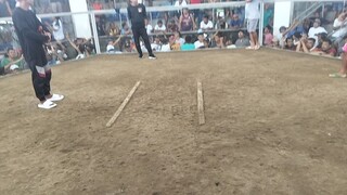mahiwaga ang sabong