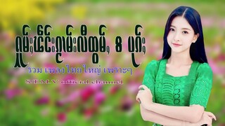 รวมเพลงไทยใหญ่เพราะๆ (ႁူမ်ႈၽဵင်းၵႂၢမ်းလီထွမ်ႇ႒) 【OFFICIAL AUDIO】