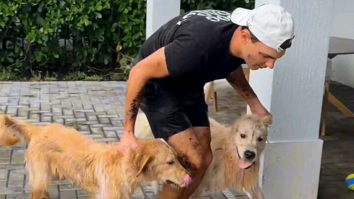 After watching, will it discourage you from getting a dog or encourage you to get one?