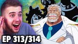LUFFY'S FAMILY REVEALED! One Piece Episode 313 & 314 REACTION!!