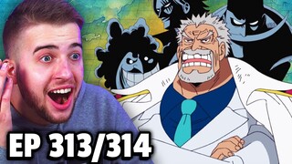 LUFFY'S FAMILY REVEALED! One Piece Episode 313 & 314 REACTION!!