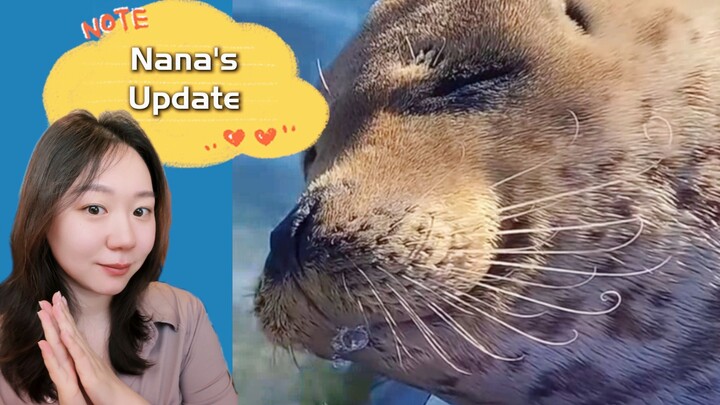 Nana the Seal: Glow-Up Update