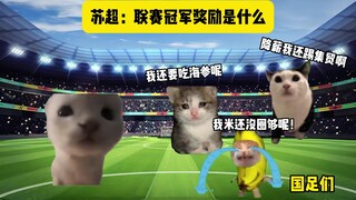 Scottish Premiership: What's the reward for winning the league?