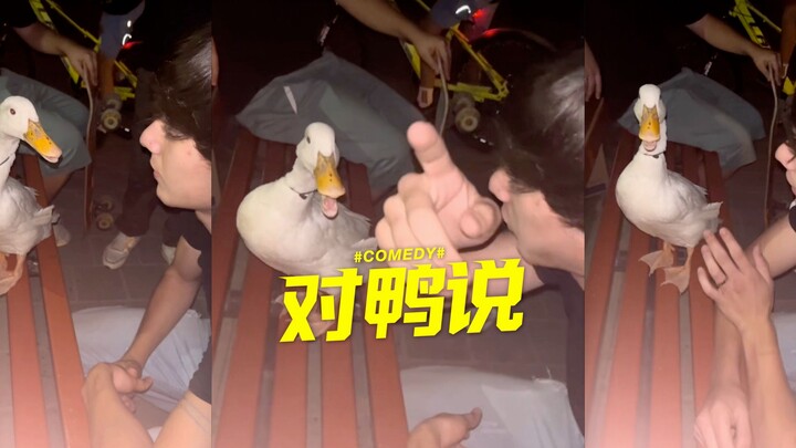 Fun fact: If you talk to a duck in Donald Duck’s voice, it can understand you!