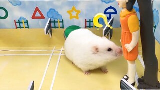 ภารกิจของหนูแฮมสเตอร์ EP 370