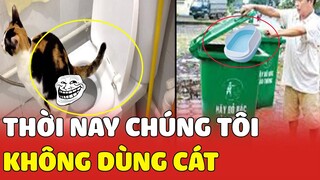 Một chiếc MÈO không lo tốn tiền cát mà mọi CON SEN đều mơ ước😍😍| Yêu Lu