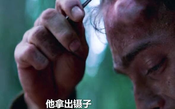 Woke up in a primeval forest? The next scene stunned everyone.