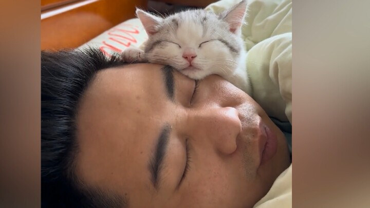 "Are these the parents who didn't let you keep a cat back then?"