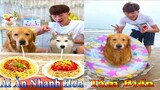 Thú Cưng TV | Dương KC Pets | Gia Đình Gâu Đần #12 | Chó thông minh vui nhộn | funny cute smart dog