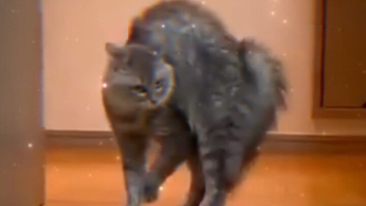 Unlock the Secrets of Heaven