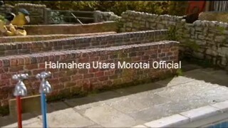 Shaun the sheep season 1 episode 2 bathtime