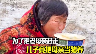 为了把老母亲赶走，儿子竟把母亲当猪养，剧情片