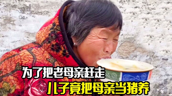 Để đuổi mẹ già đi, con trai lại nuôi mẹ như nuôi lợn, phim tình tiết