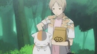 Sansan *ว์ประหลาดตัวน้อยที่ดุร้ายถูก Natsume ในเสื้อเชิ้ตลายดอกจับตัวไปและทันใดนั้นก็เชื่อฟังมาก