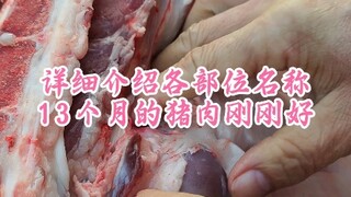 شرح مفصل لأسماء الأجزاء، لحم الخنزير بعمر 13 شهرًا هو الأنسب تمامًا