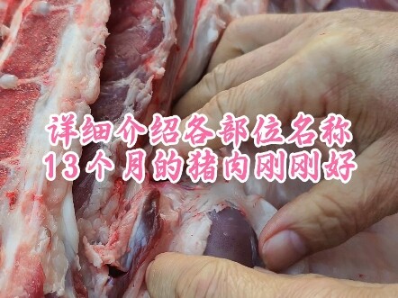 详细介绍各部位名称，13个月的猪肉刚刚好