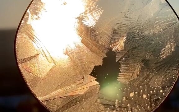 Picture-Perfect Beauty