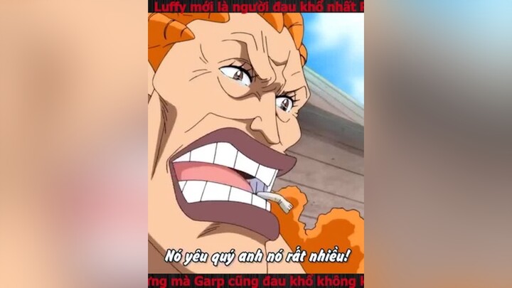 garp onepieceluffy luffyonepiece animeotaku animebuon DauToDangYeu