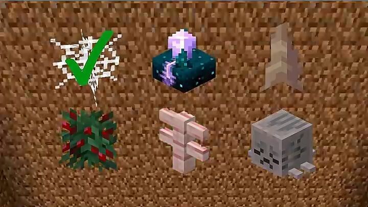 MINECRAFT FALL IMMUNITY CHALLENGE!🪂