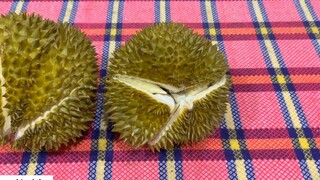 Dâu Việt mua sầu riêng đầu mùa đãi nhà chồng Đài Loan _ 1