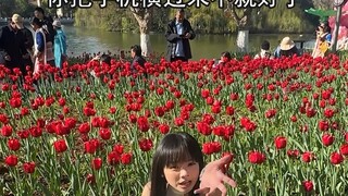 Kỹ thuật chụp ảnh hoa tulip, tư thế chụp ảnh hoa tulip, góc chụp ảnh hoa tulip