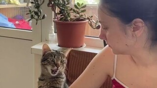 Kucing: Kenapa, bukankah sudah sepakat ada sesuatu yang ingin kita bagikan bersama?