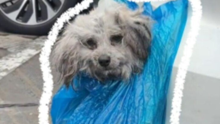 Person: Hello, I don’t feel so well…