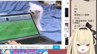 日本JK看《动物缺德行为大赏》笑个不停