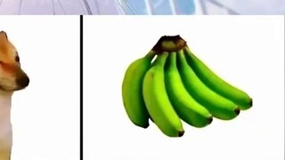 عندما يشعر الشخص بالذهول الشديد، يبتسم قليلاً