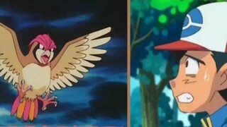 "Thông tin về Pokémon" Pidgeot cuối cùng đã trở lại sau hơn 20 năm?! Hikaru lại du hành xuyên thời g