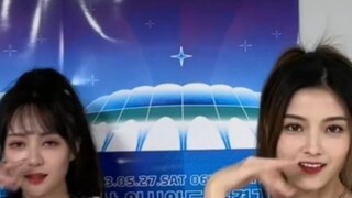 【Dream Concert】ITZY Cheshire Cat เต้นคัฟเวอร์พร้อม Meow Meow ในห้องรอ~ 🐱