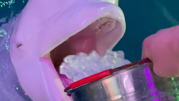 That's how I mastered the Iron Sand Palm.