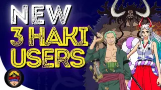 New 3 Haki Users in One Piece