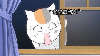 原来老师知道自己是大肥猫