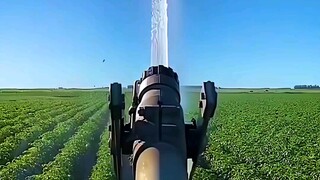 【极限画质修复60帧】划走你就草率了，选一个呗