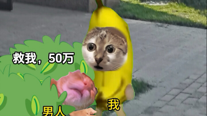 «التقطتُ شخصًا من جانب الطريق»