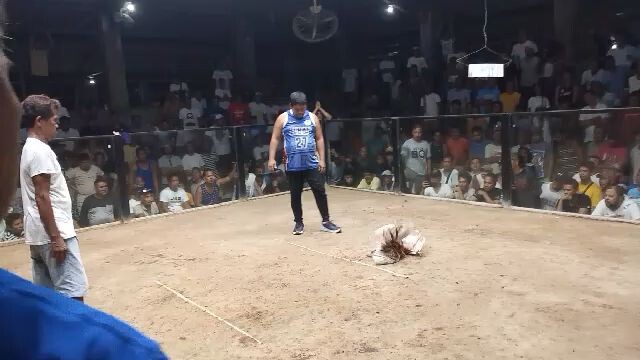 3 HITS ULUTAN 2ND FIGHT WIN @BC ARENA (USING WHITE KELSO)