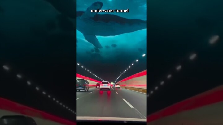 underwater road tunnel