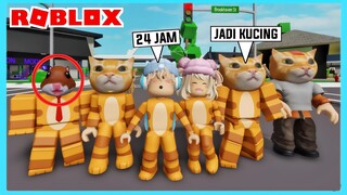 24 Jam Aku Dan Adiku Menjadi Kucing Di Roblox Brookhaven ft @Shasyaalala