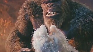 How much does it cost to replace a decayed tooth for King Kong?