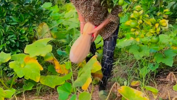 Even vegetables have sworn enemies—if planted together, neither will grow well.