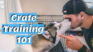 Crate Training 101